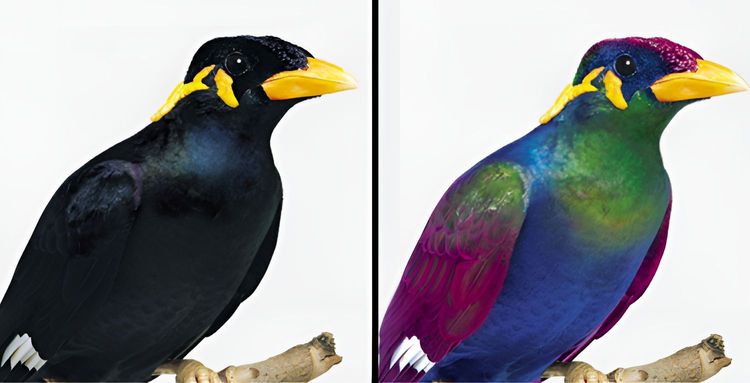 image-20231003144026-12