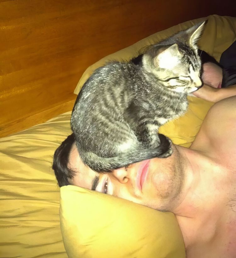 image-20231012162211-1