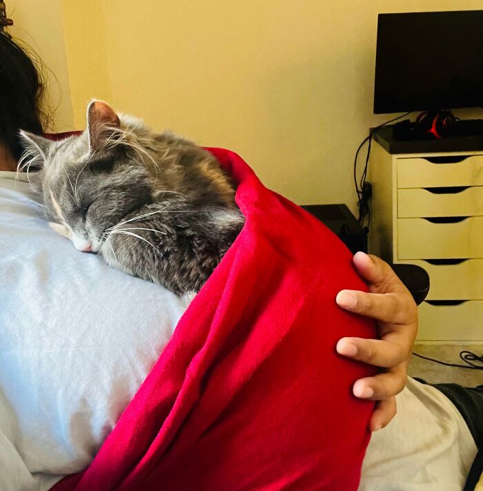 image-20231012162214-2