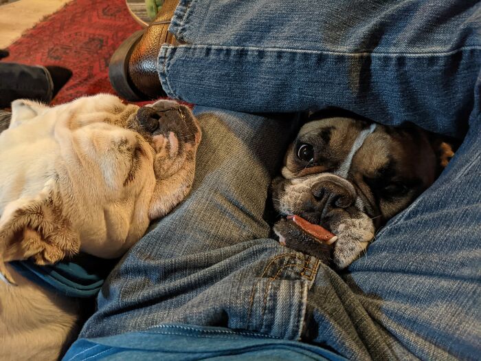 image-20231012162218-3