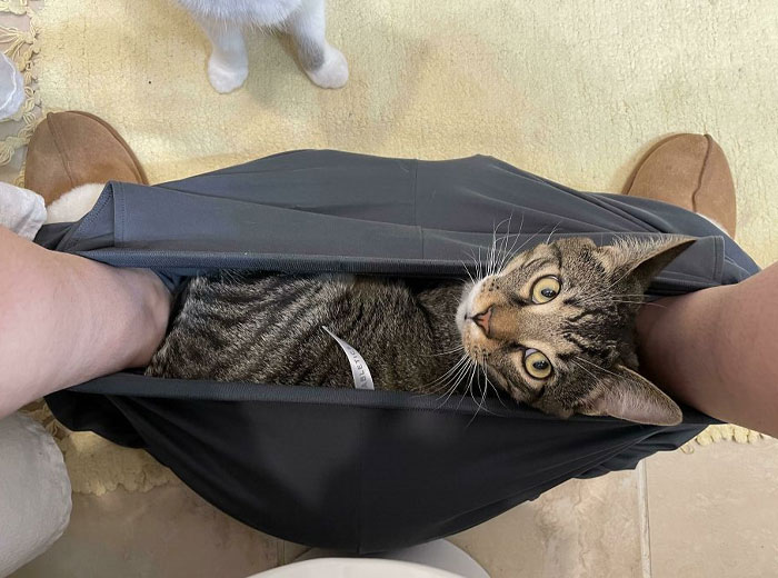 image-20231012162232-7