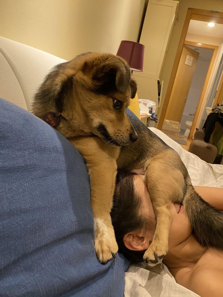 image-20231012162245-10