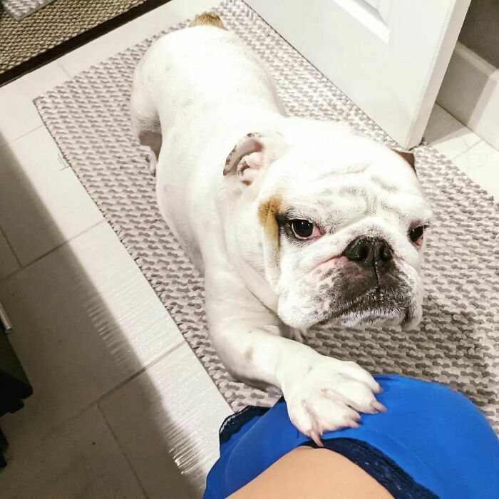 image-20231012162508-12