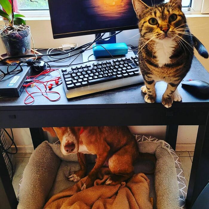 image-20231012162517-13