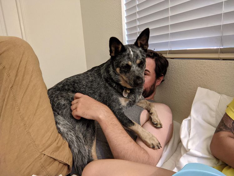 image-20231012162531-14