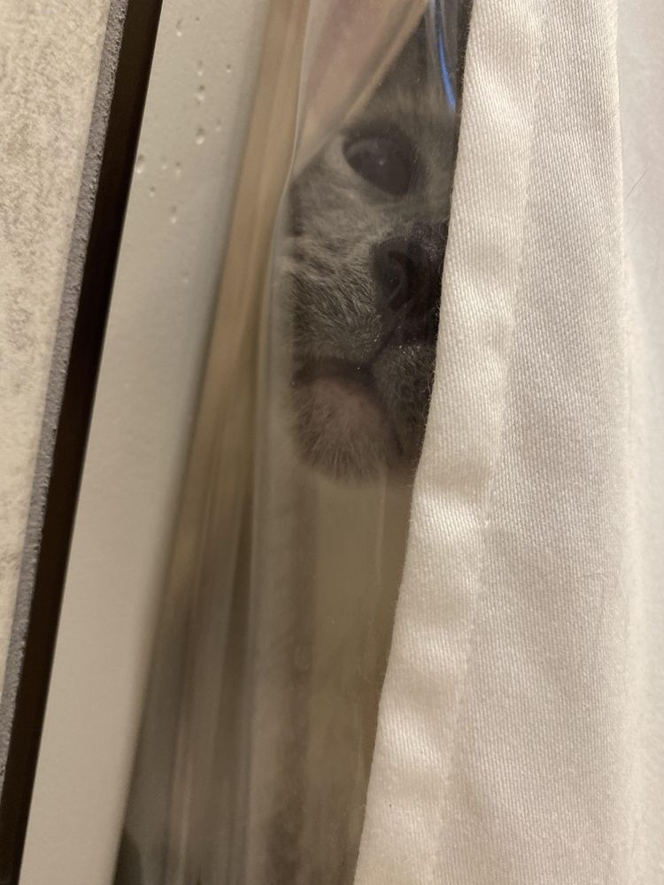 image-20231012162534-15