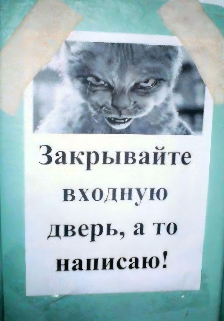 image-20231013110929-2