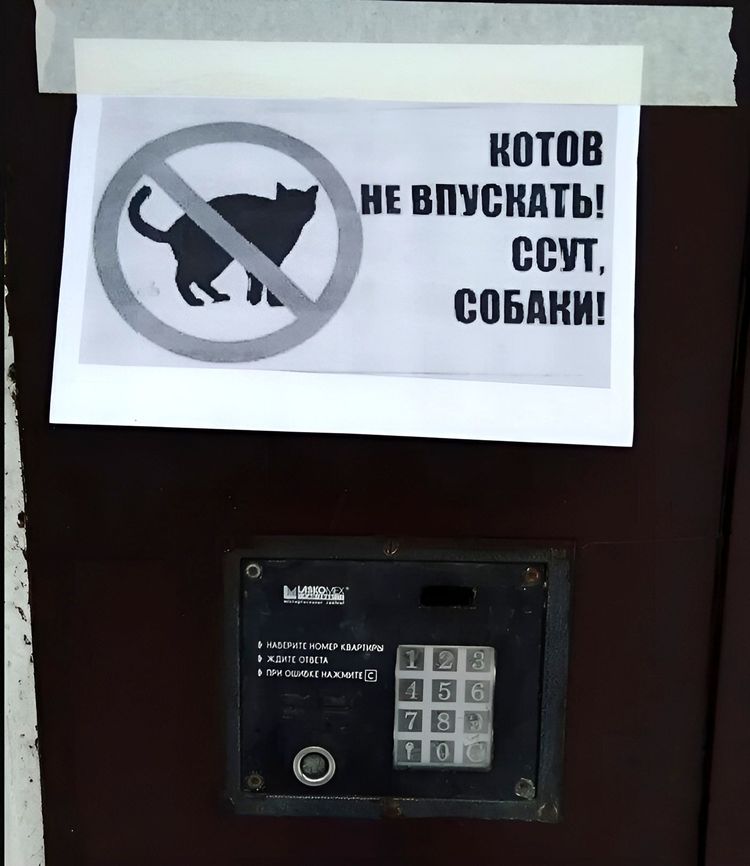 image-20231013110938-4