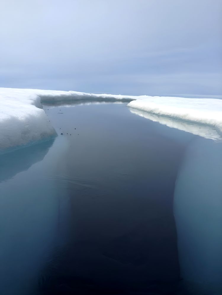 image-20231013121645-1