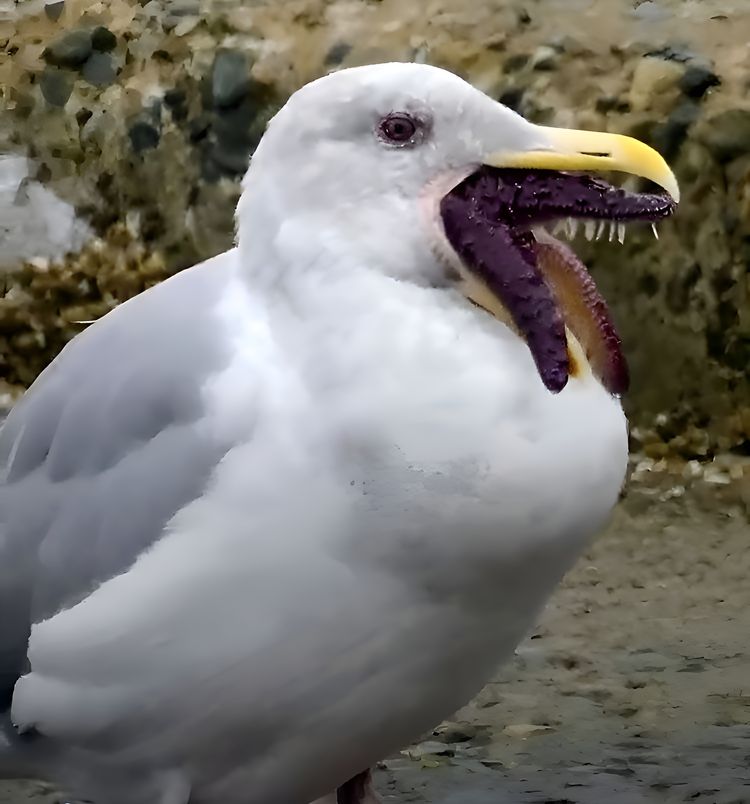 image-20231013121830-16