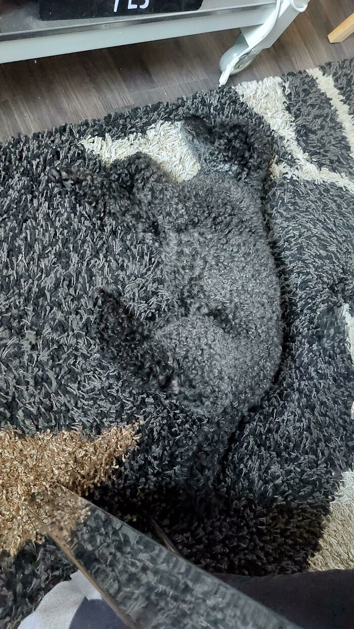 image-20231014120605-6
