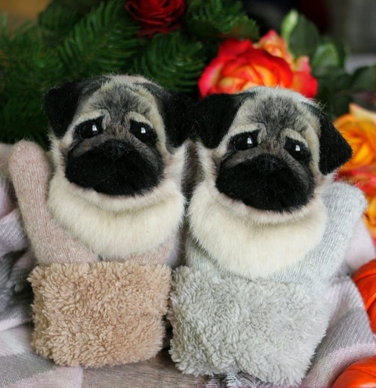 image-20231014151247-16