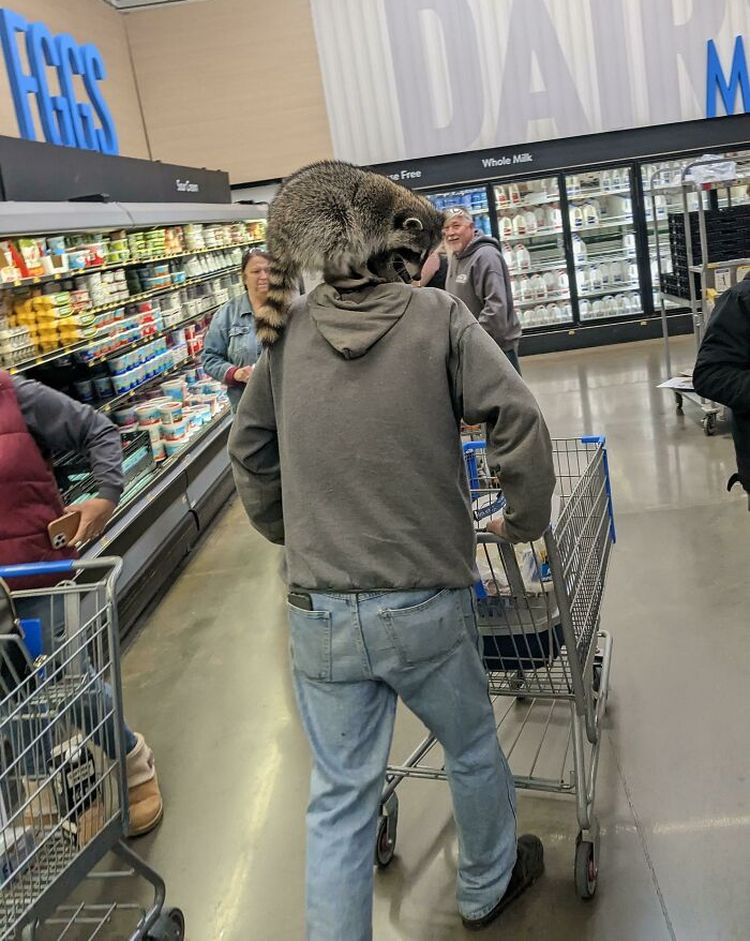 image-20231016113744-9