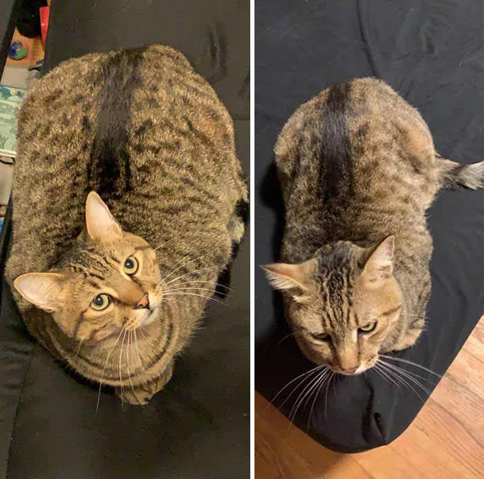 image-20231016154911-15