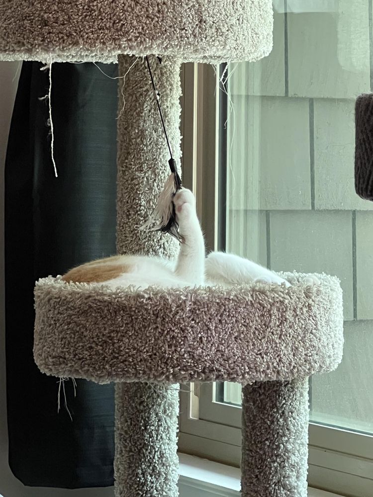 image-20231018150830-3