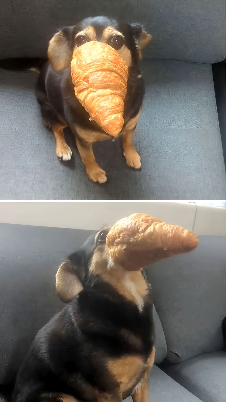 image-20231018150833-4