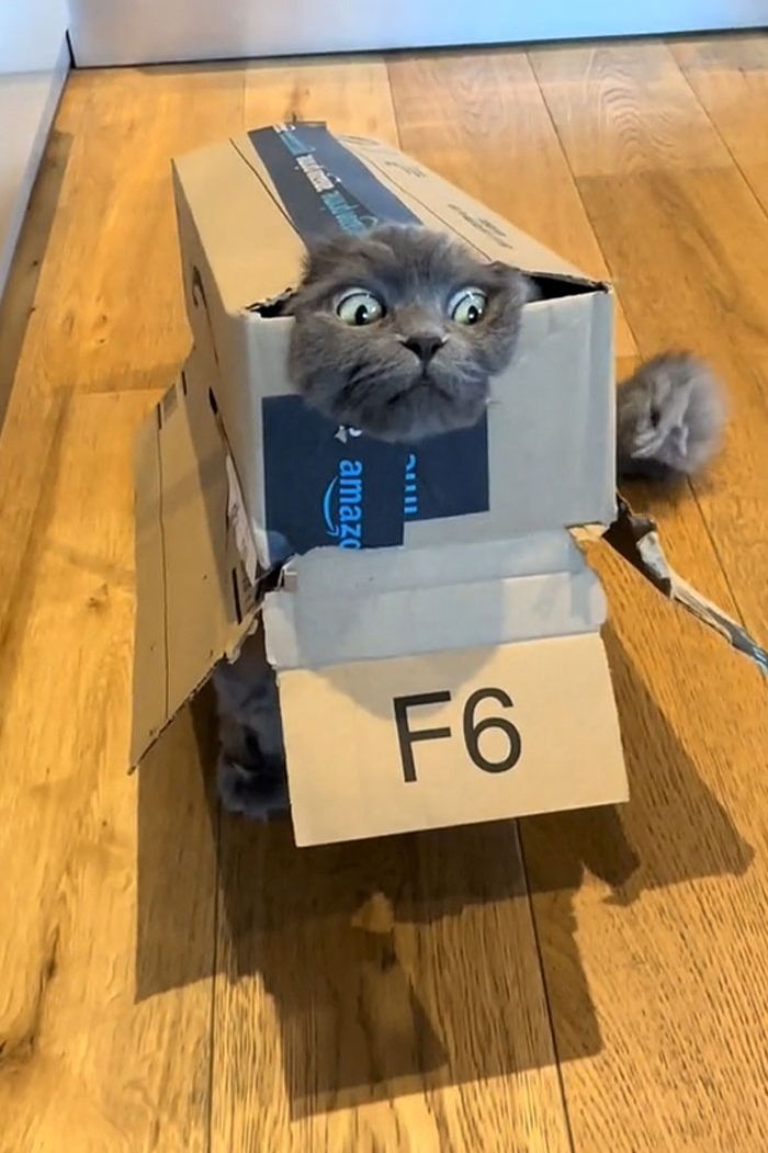 image-20231018150836-5