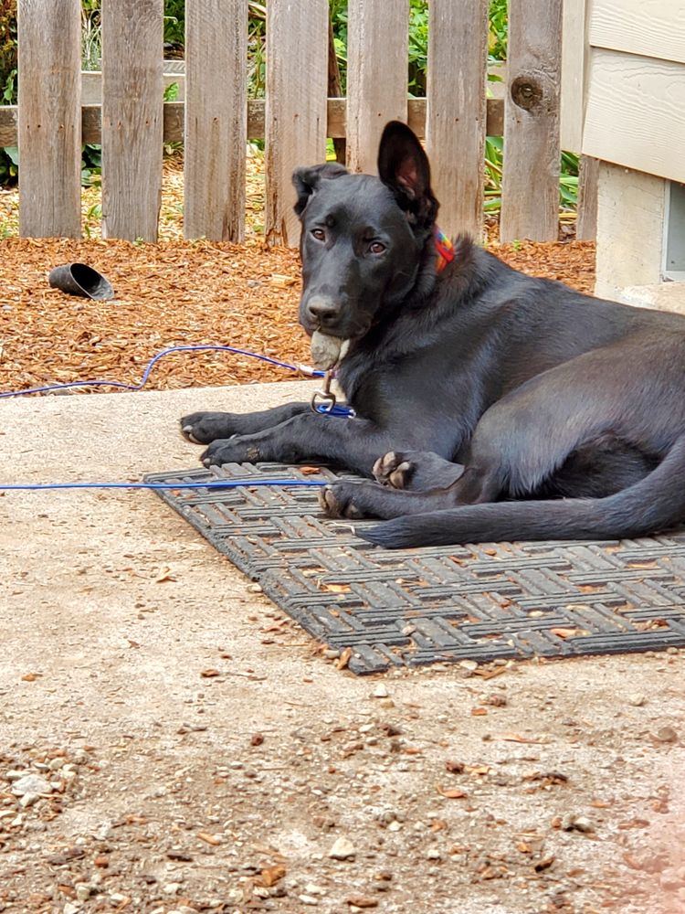 image-20231018150841-6