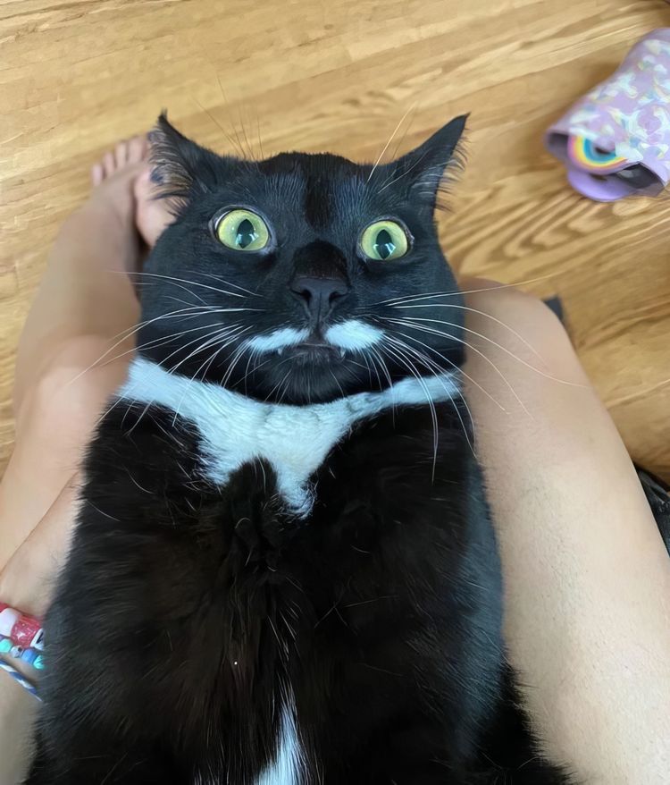 image-20231018150844-7