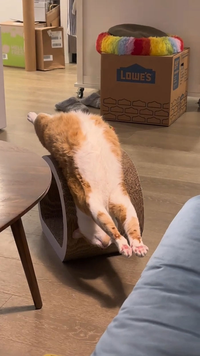 image-20231018150851-9