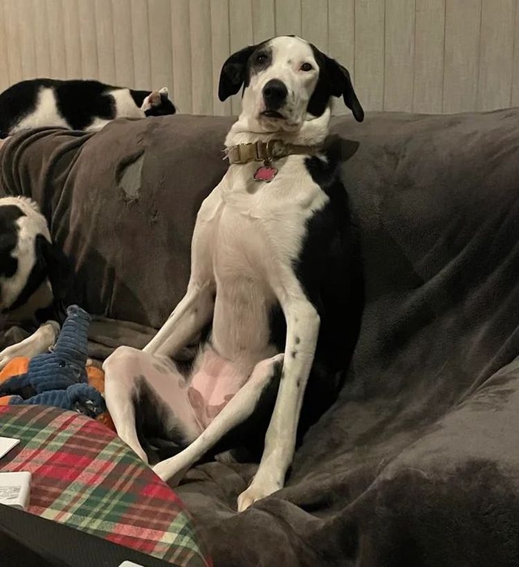 image-20231018150856-10