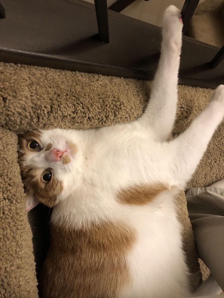 image-20231018150859-11