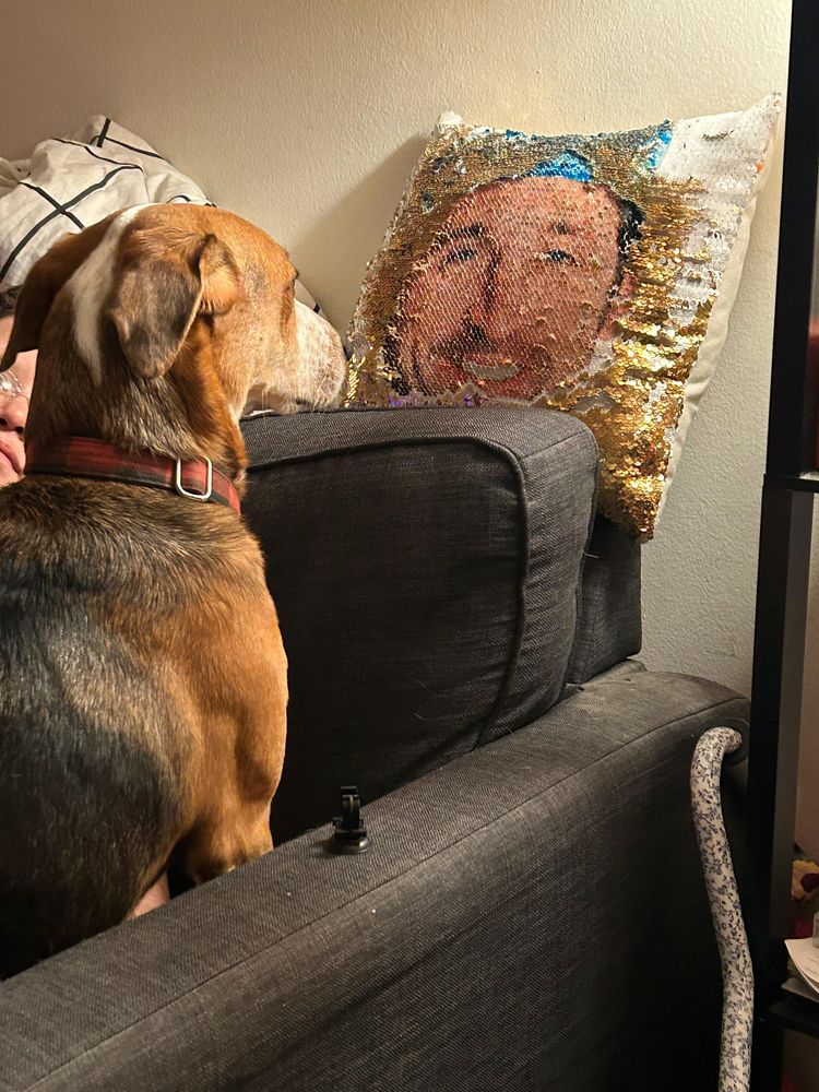 image-20231018150923-12