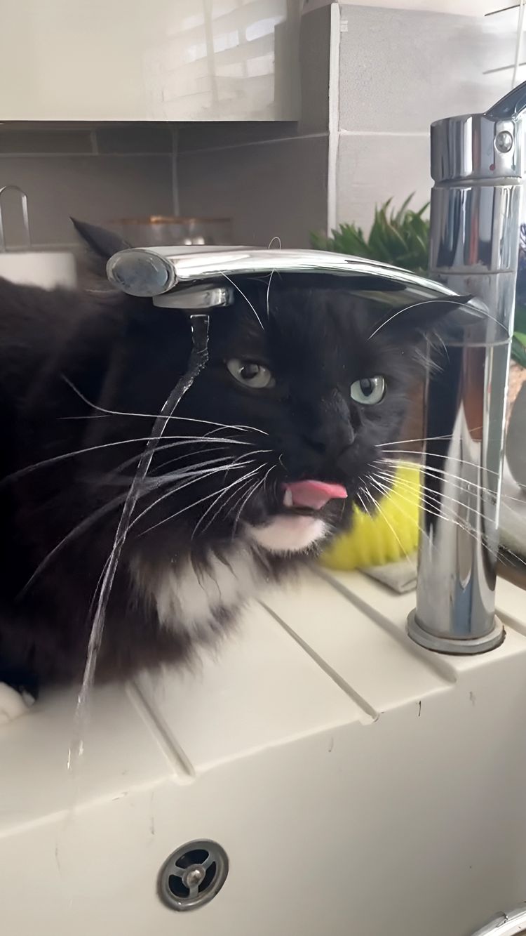 image-20231018150926-13