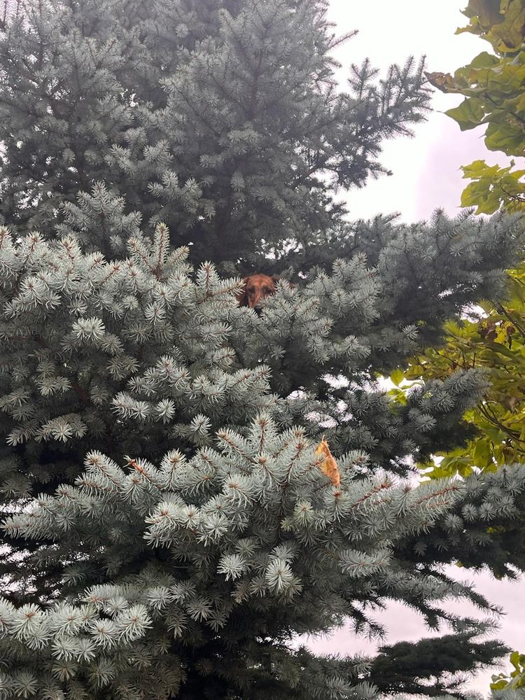 image-20231018150930-14