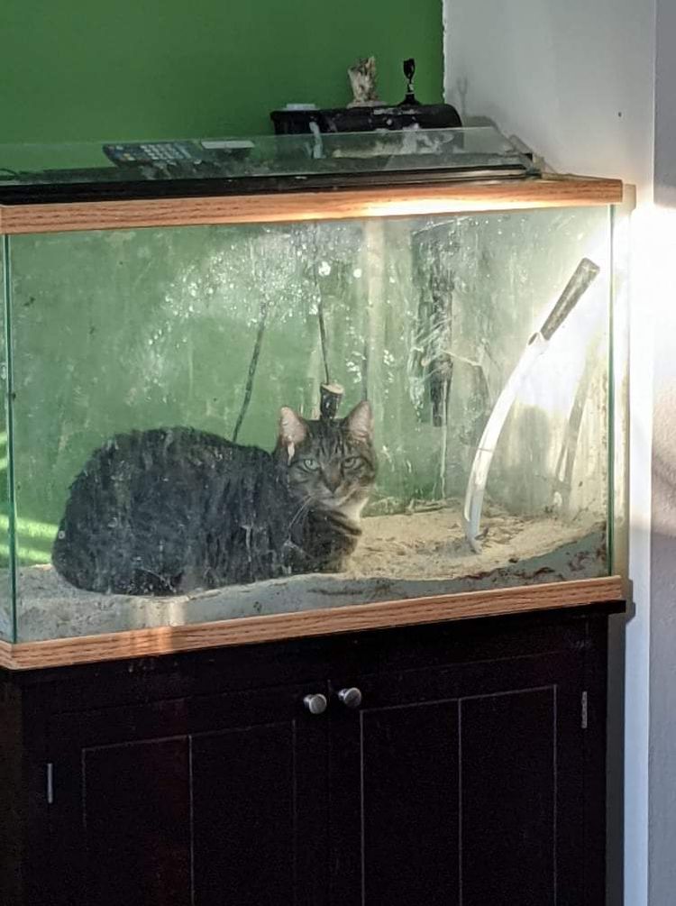 image-20231018150934-15