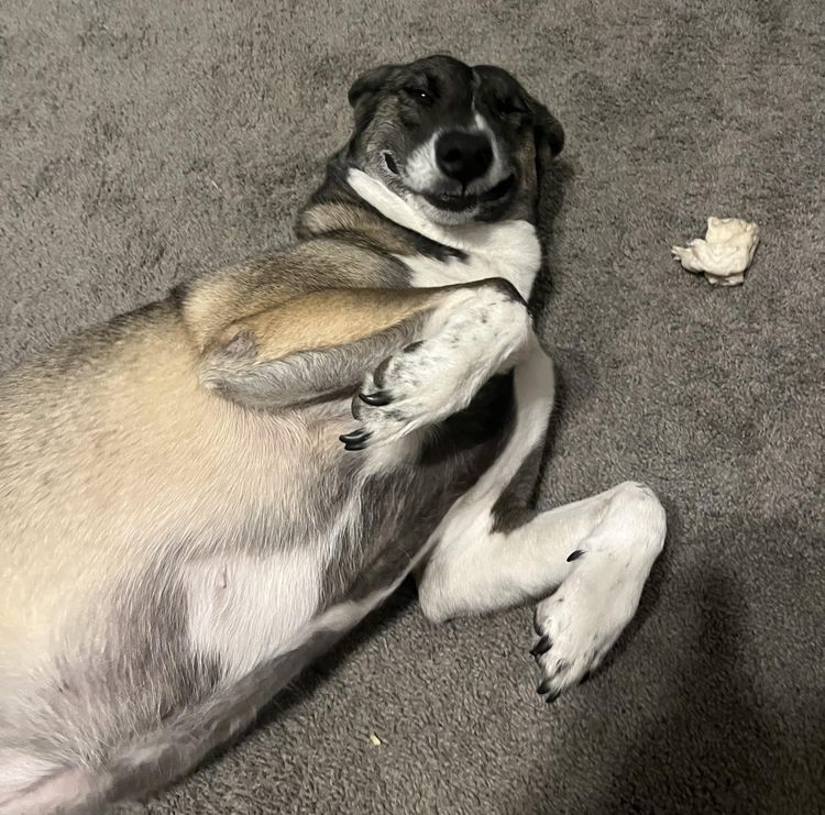 image-20231018150938-16