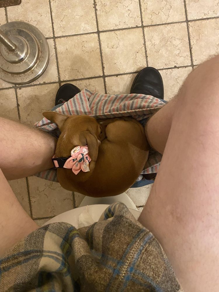 image-20231018150946-18