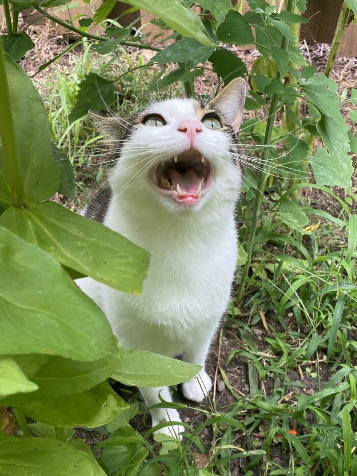 image-20231029153734-4