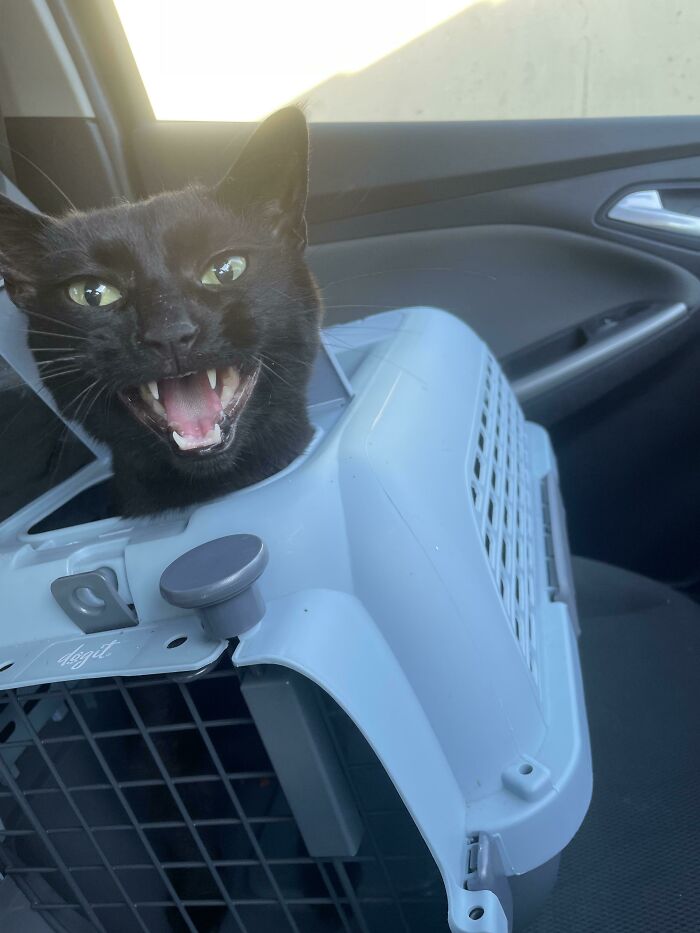 image-20231029153738-5