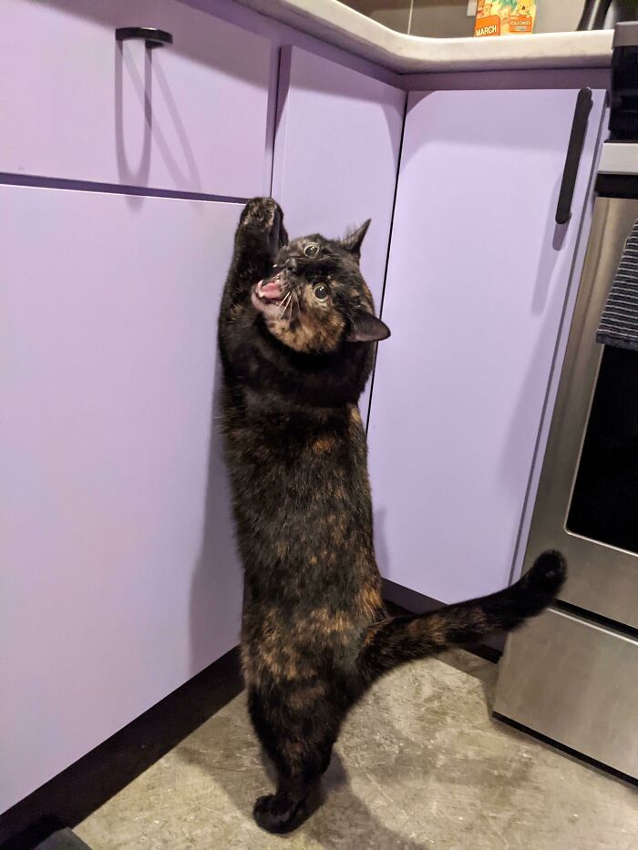 image-20231029153747-7