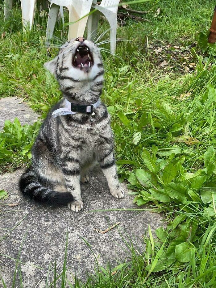 image-20231029153750-8