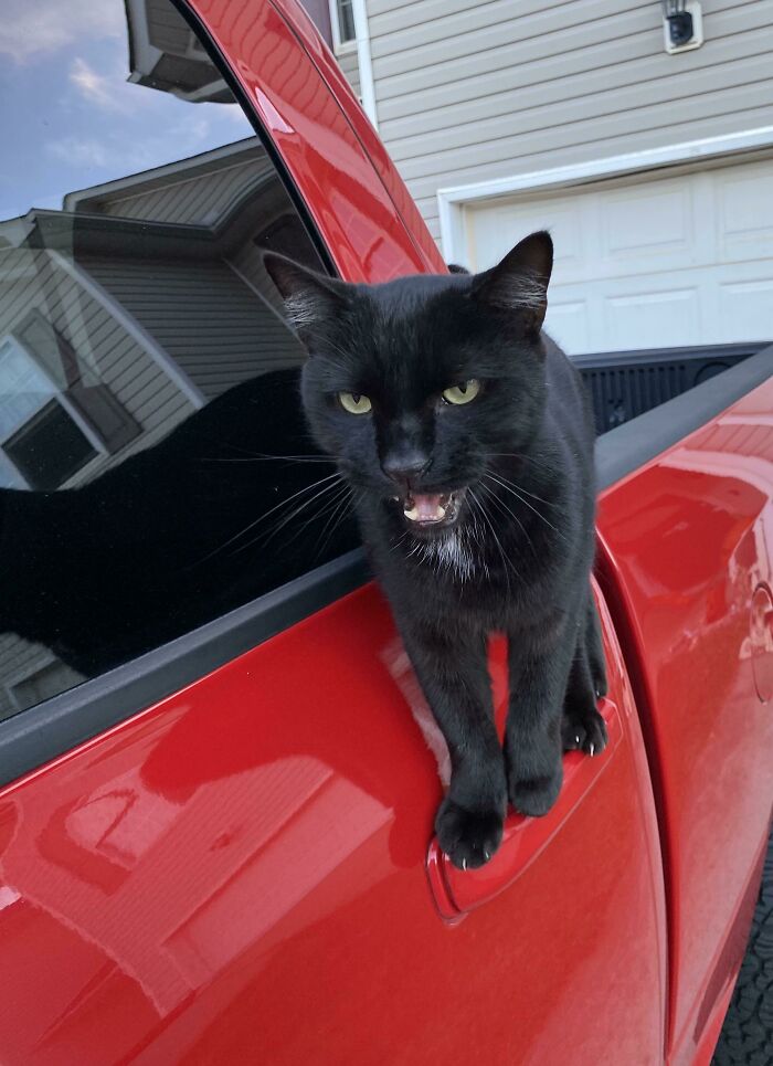 image-20231029153754-9