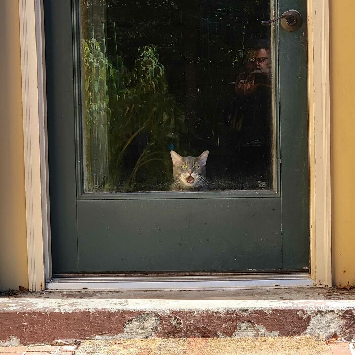 image-20231029153758-10