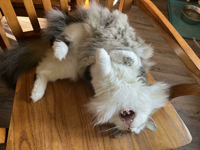 image-20231029153802-11