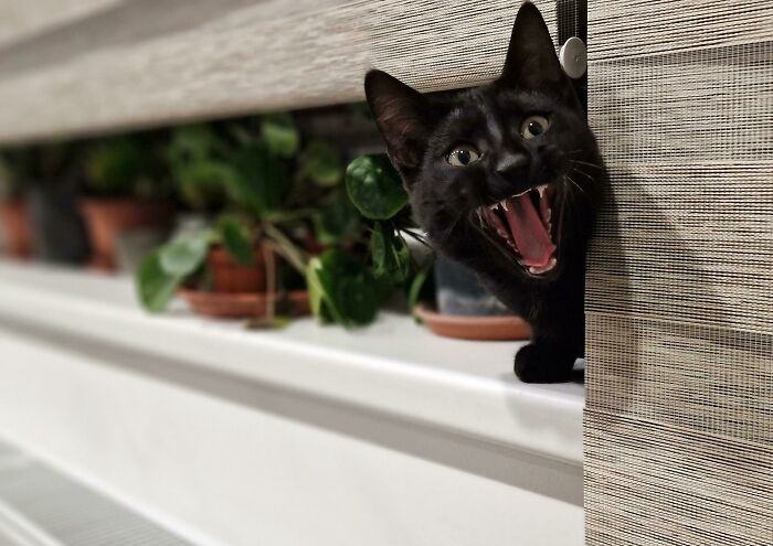 image-20231029153809-13