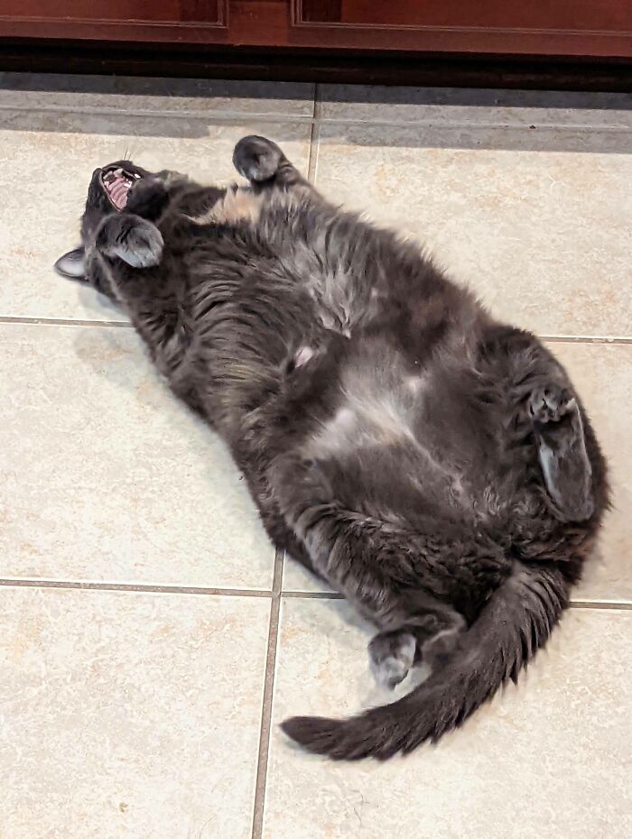 image-20231029153814-14