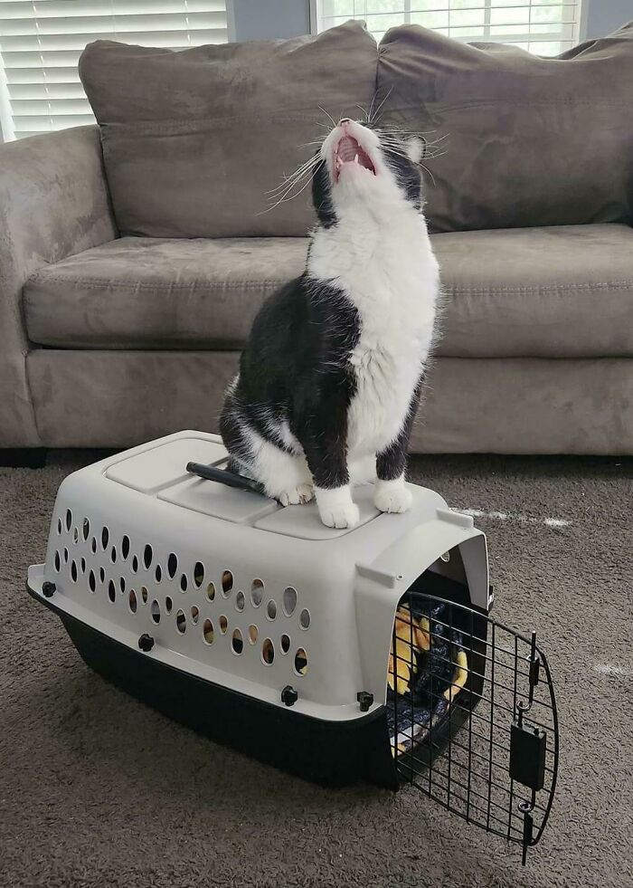 image-20231029153819-15