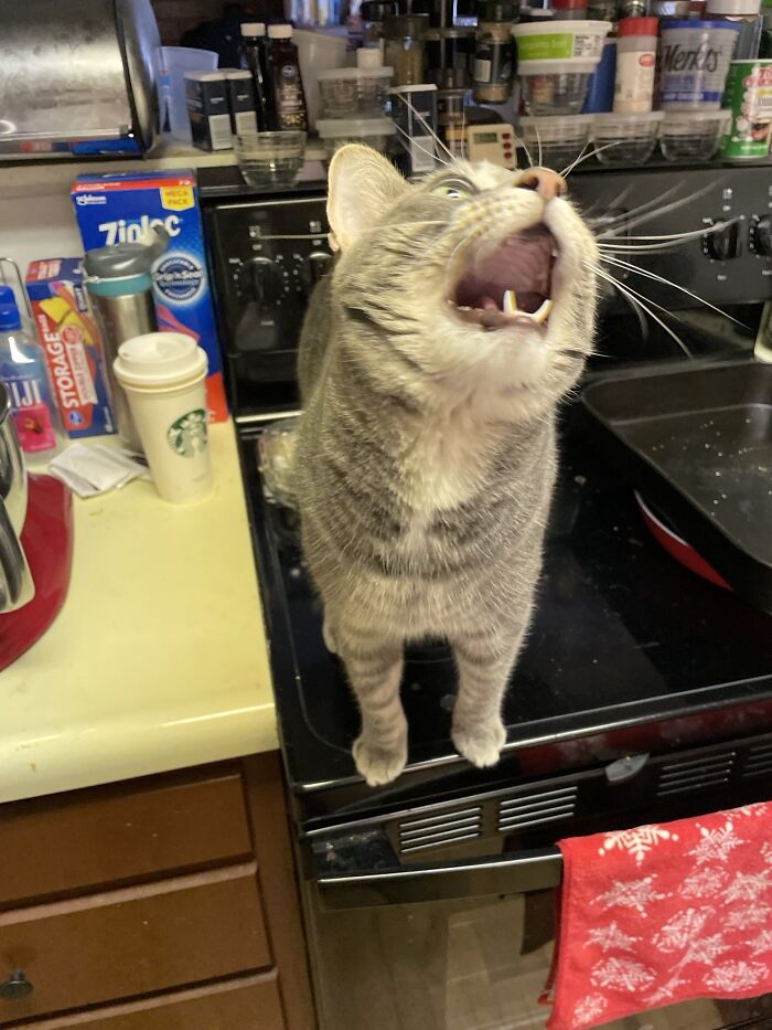 image-20231029153823-16