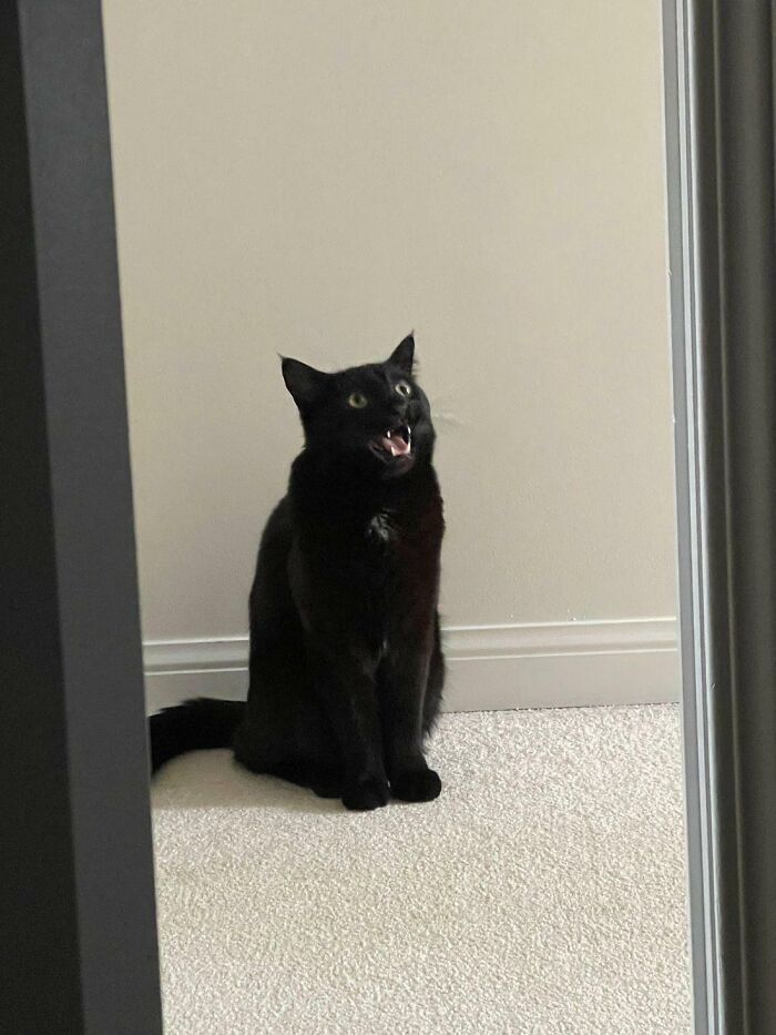 image-20231029153826-17