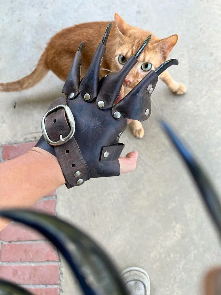 image-20231104120227-4