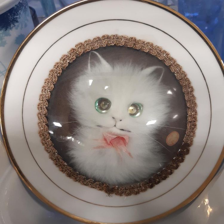 image-20231104120330-15