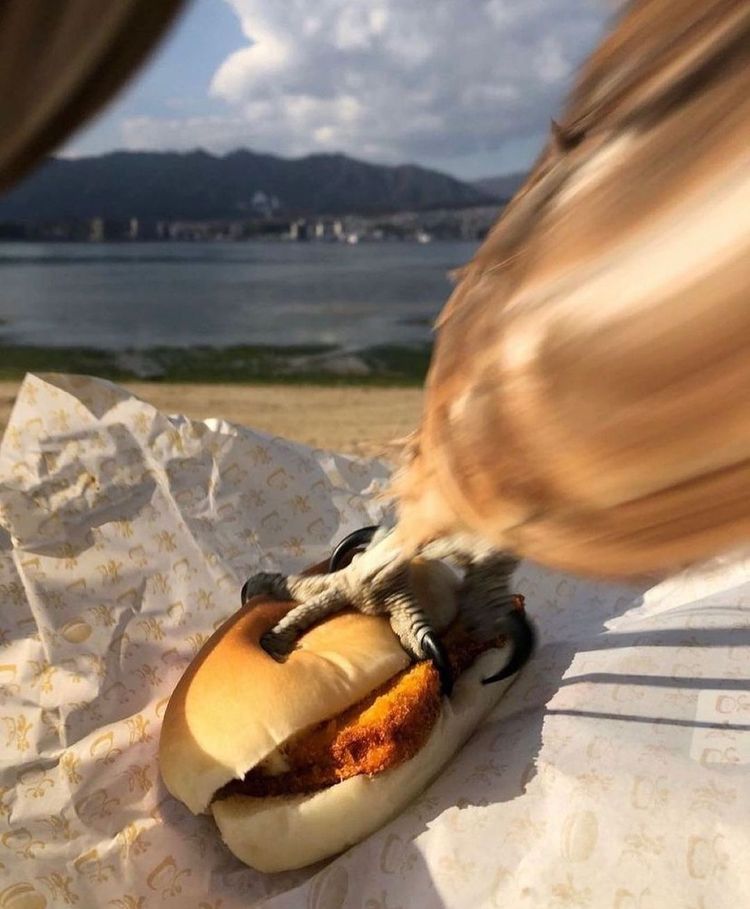 image-20231107130101-1