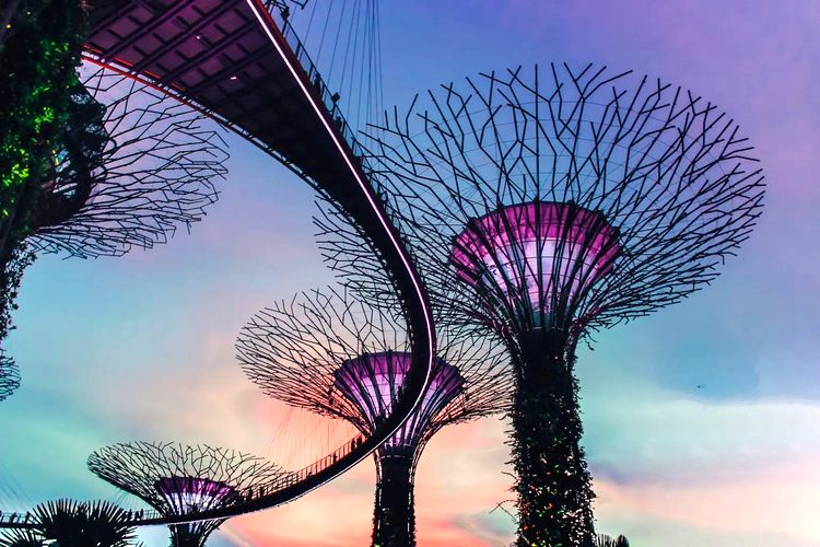 image-20231108145042-12