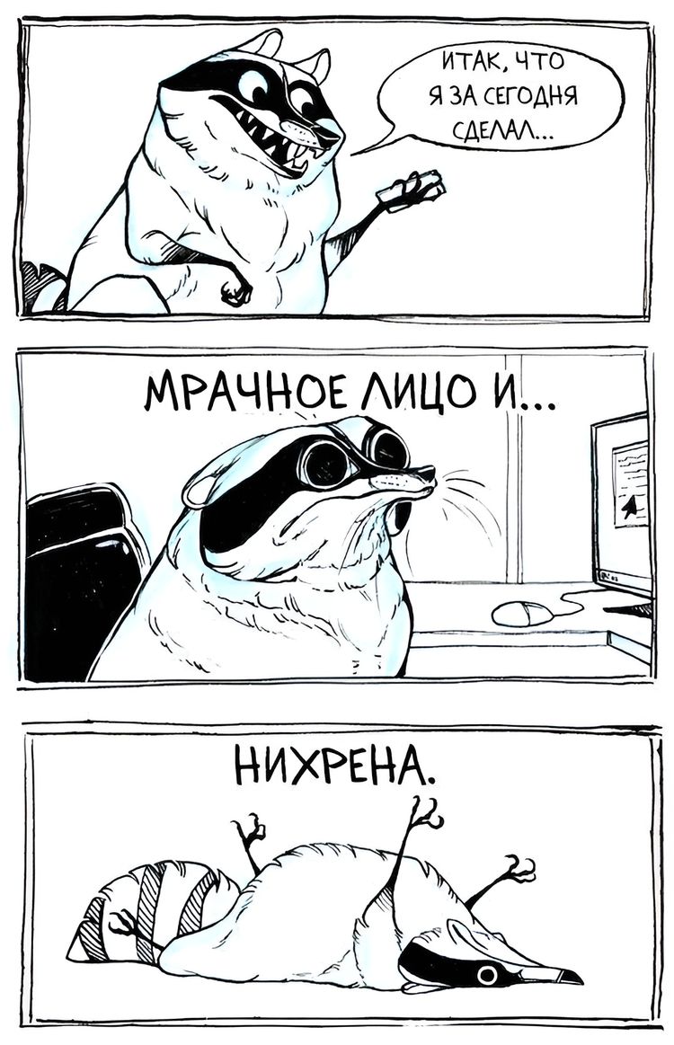 image-20231109114233-4