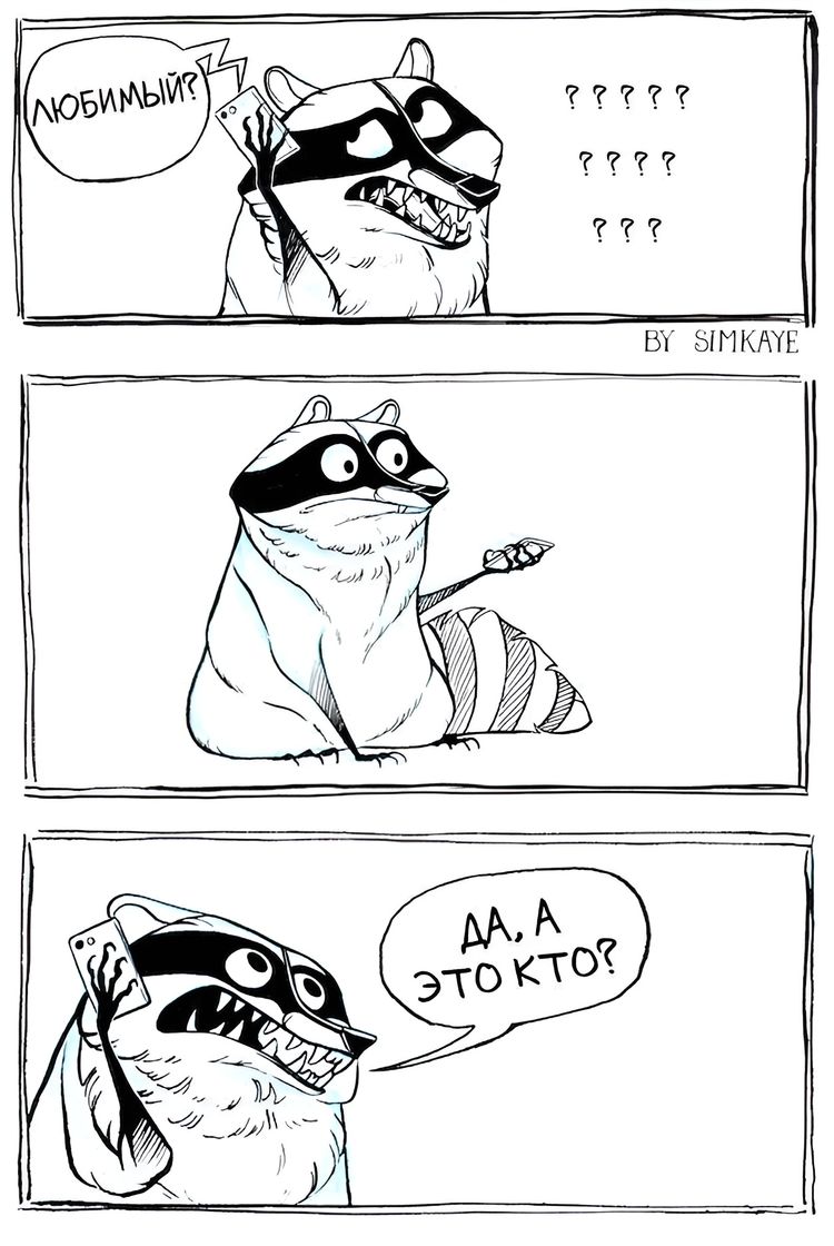 image-20231109114238-5